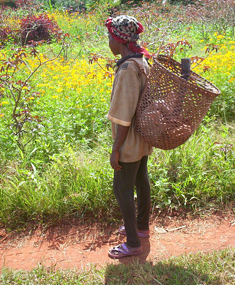 Femme documentée comme maka portant un panier près d’Abong-Mbang
