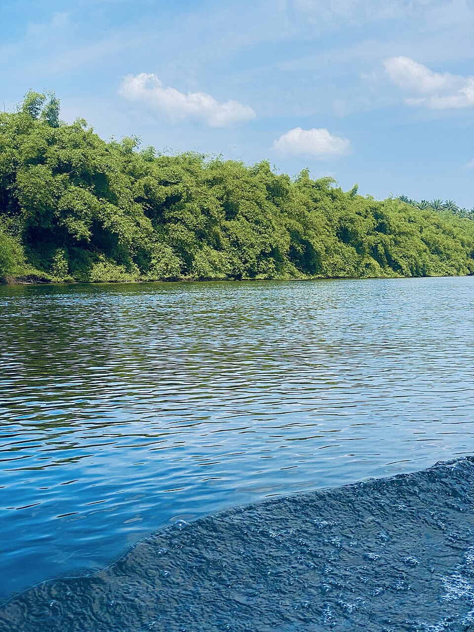 Voie d’eau vers le parc national de Korup